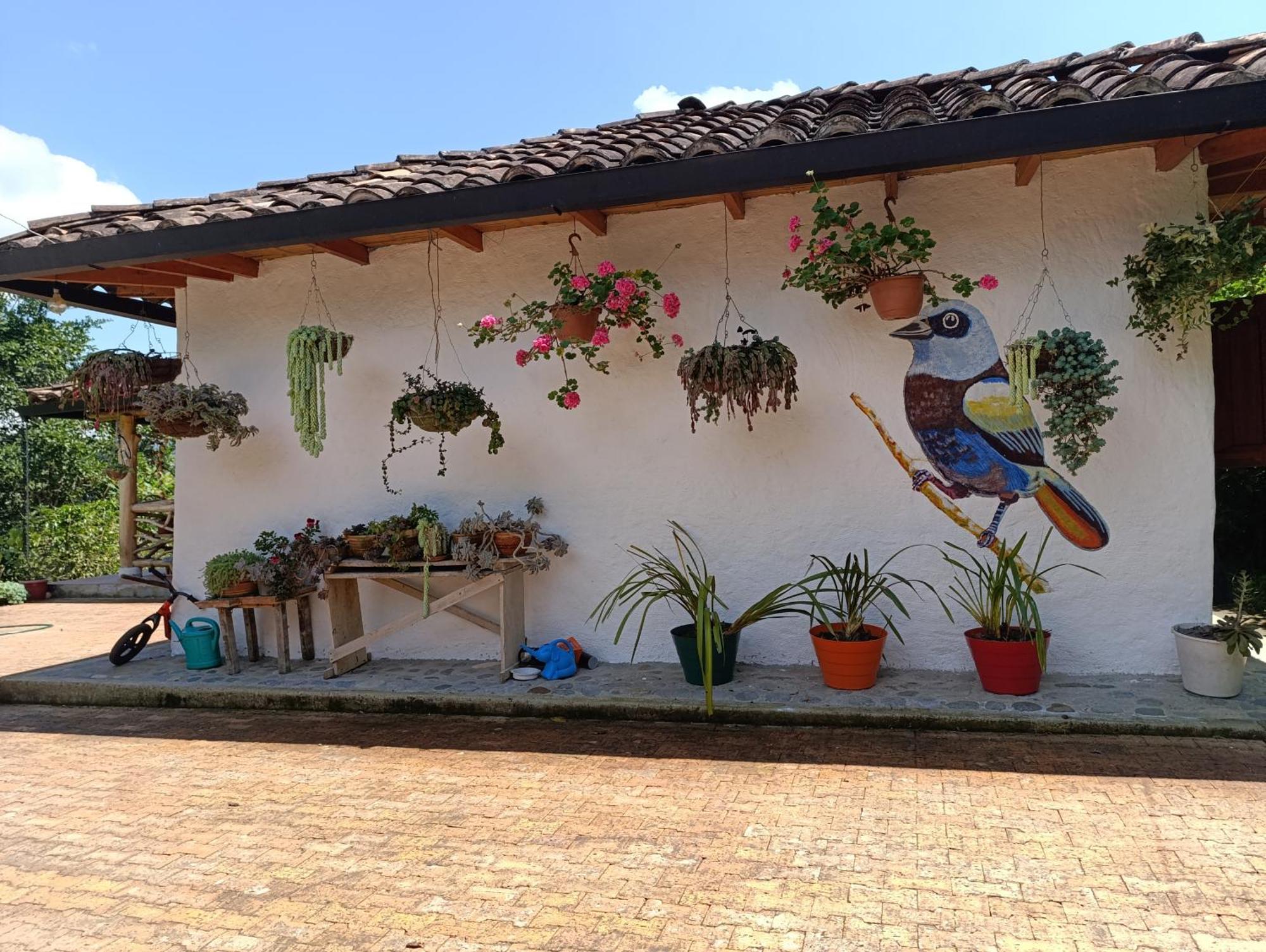 Casa Entera Finca Cometa San Agustín Kültér fotó