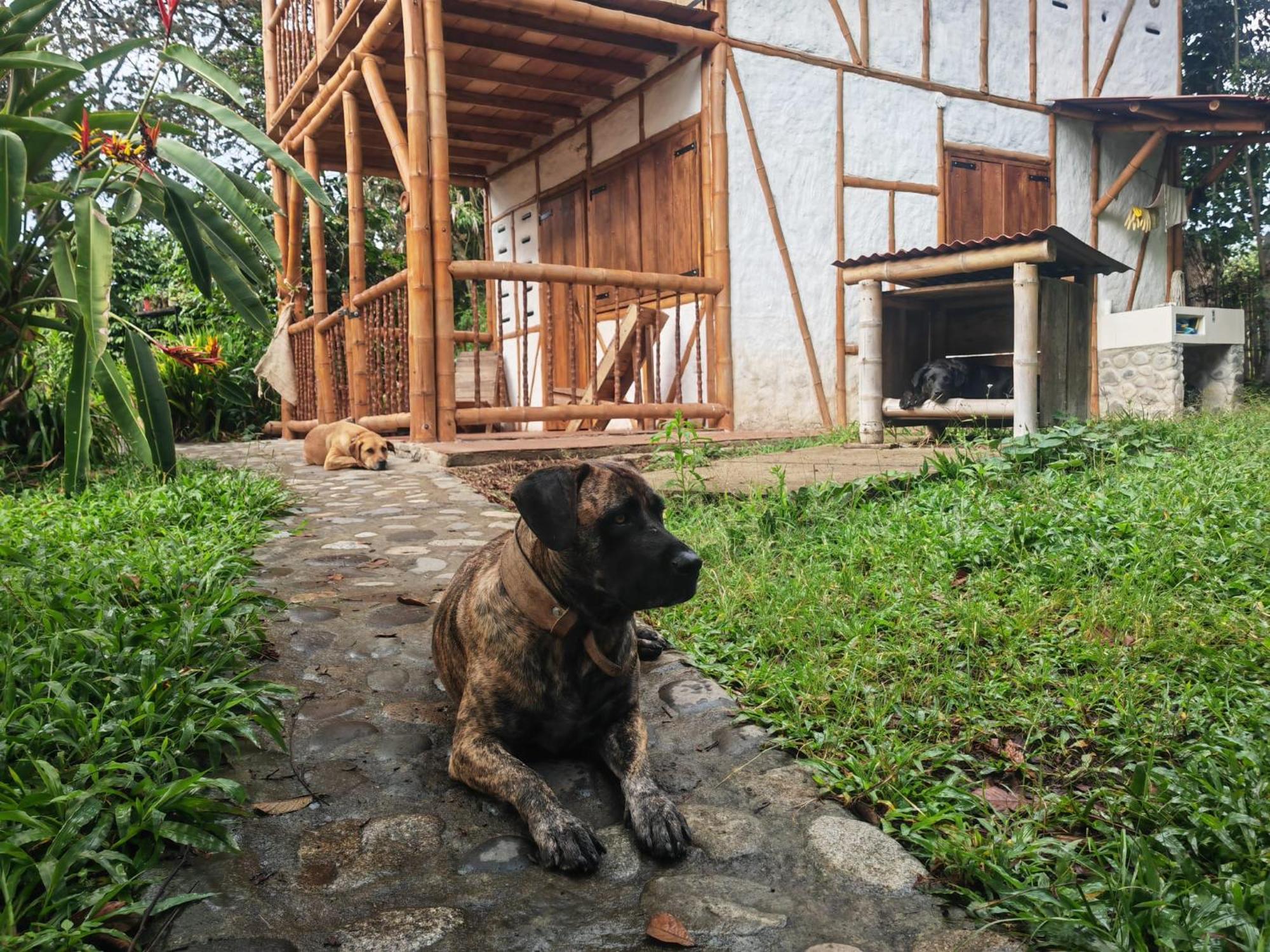 Casa Entera Finca Cometa San Agustín Kültér fotó