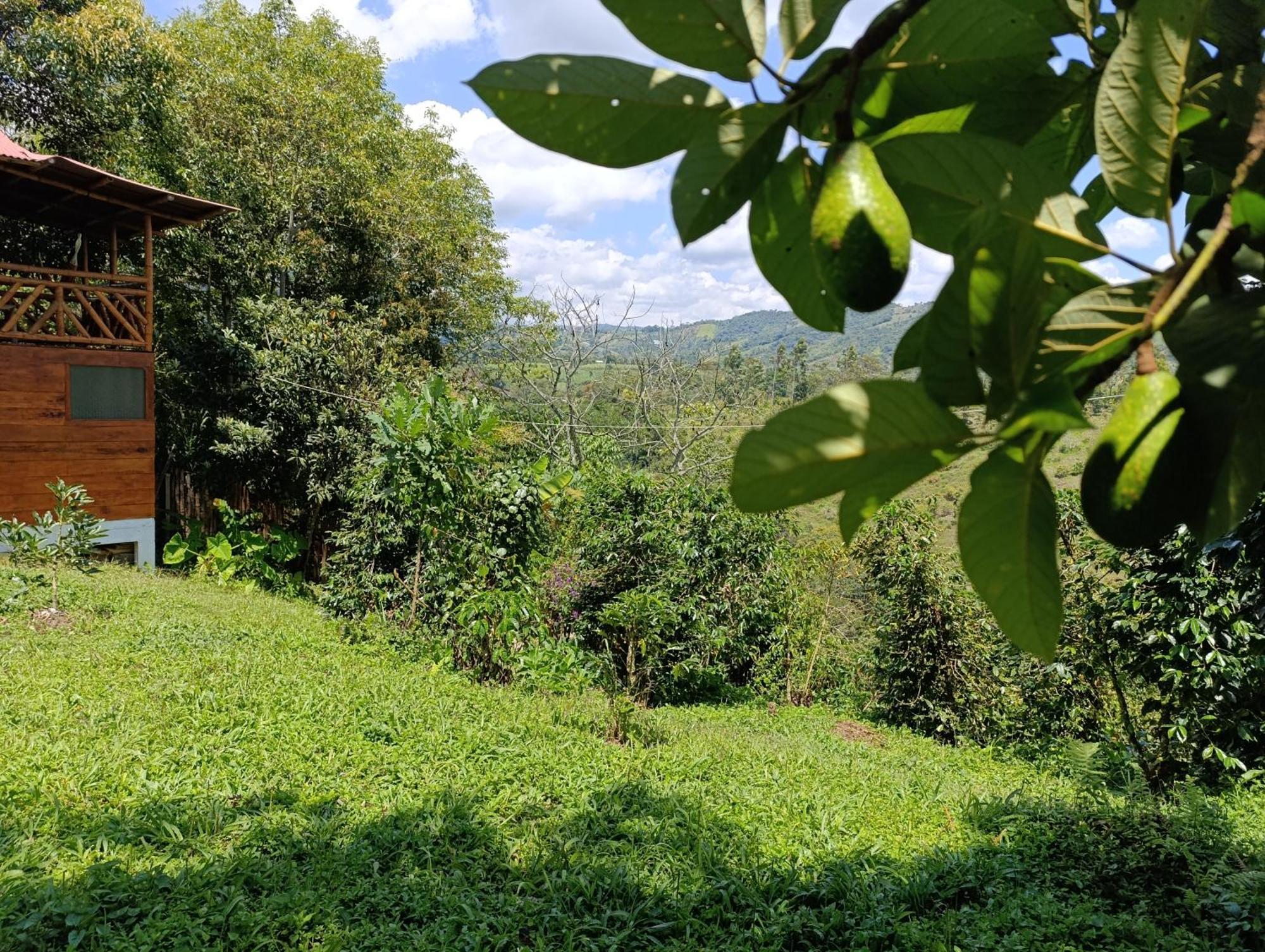 Casa Entera Finca Cometa San Agustín Kültér fotó