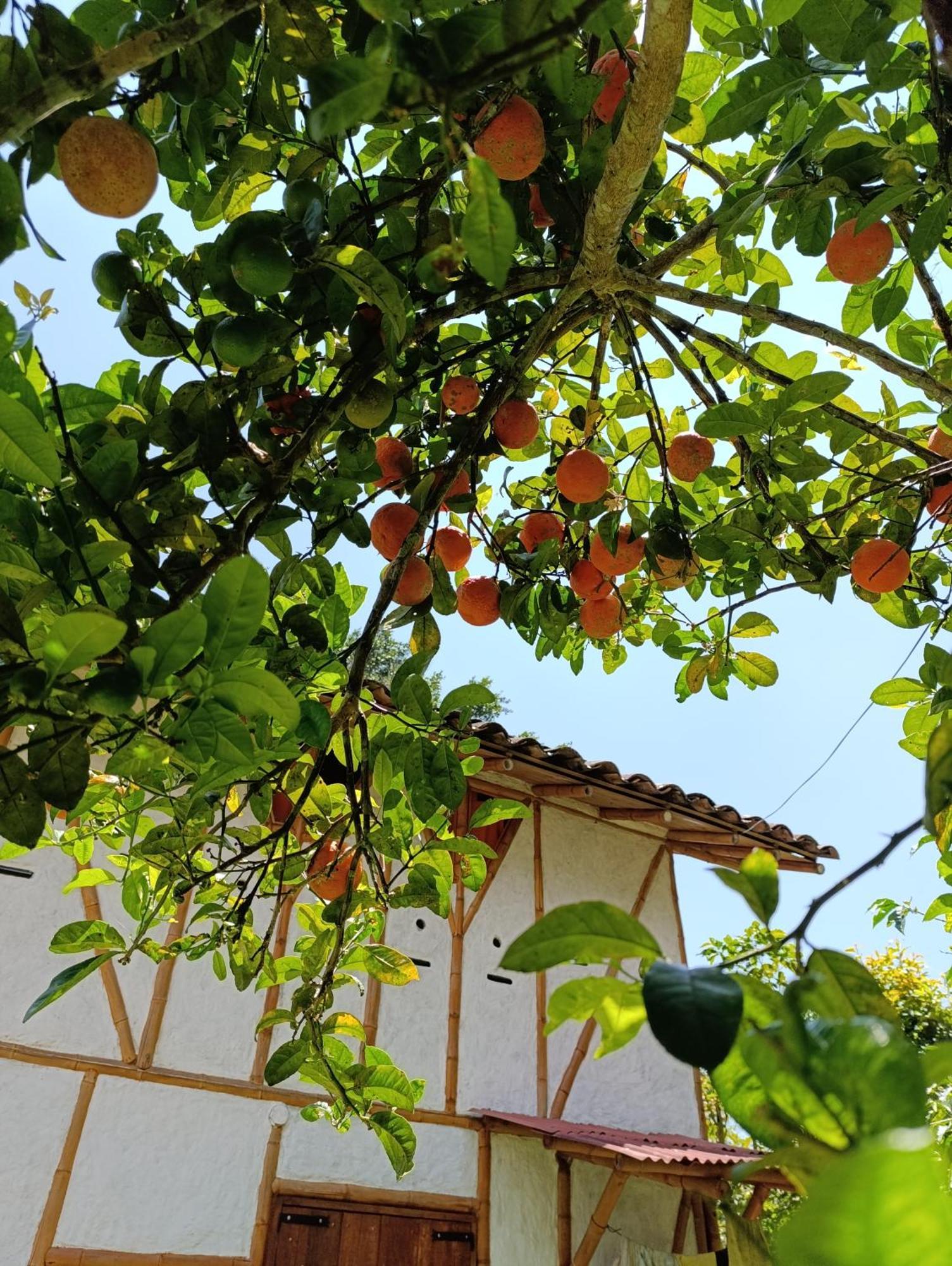 Casa Entera Finca Cometa San Agustín Kültér fotó