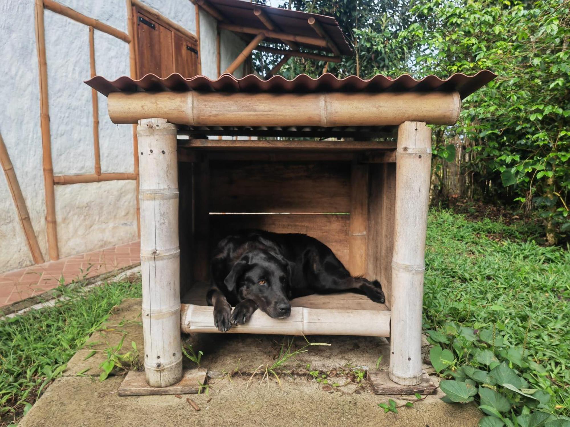 Casa Entera Finca Cometa San Agustín Kültér fotó