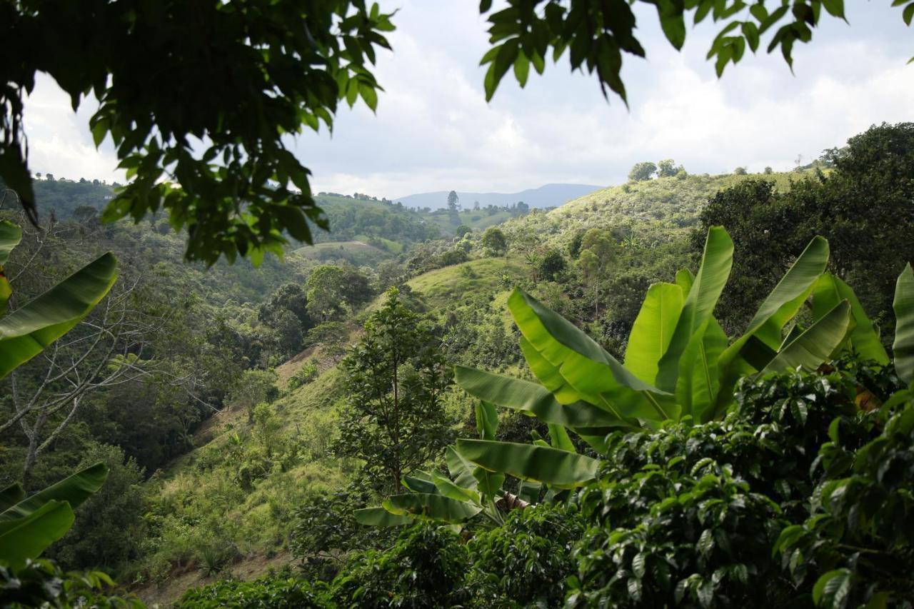 Casa Entera Finca Cometa San Agustín Kültér fotó